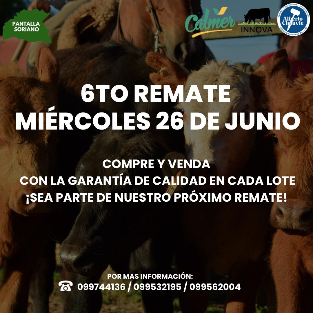 6to. Remate - Pantalla Soriano